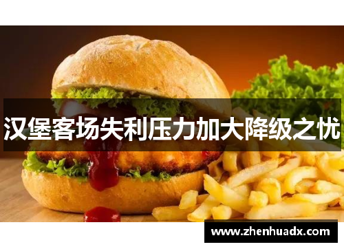 汉堡客场失利压力加大降级之忧
